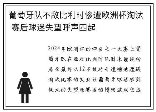 葡萄牙队不敌比利时惨遭欧洲杯淘汰 赛后球迷失望呼声四起