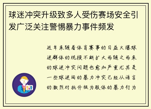 球迷冲突升级致多人受伤赛场安全引发广泛关注警惕暴力事件频发